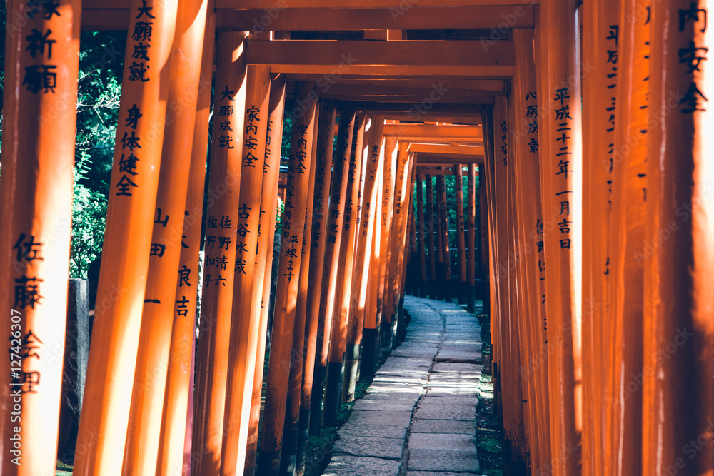 japan japan
