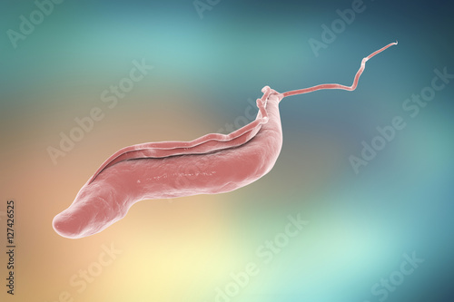 Φωτογραφία Sleeping sickness parasite, 3D illustration