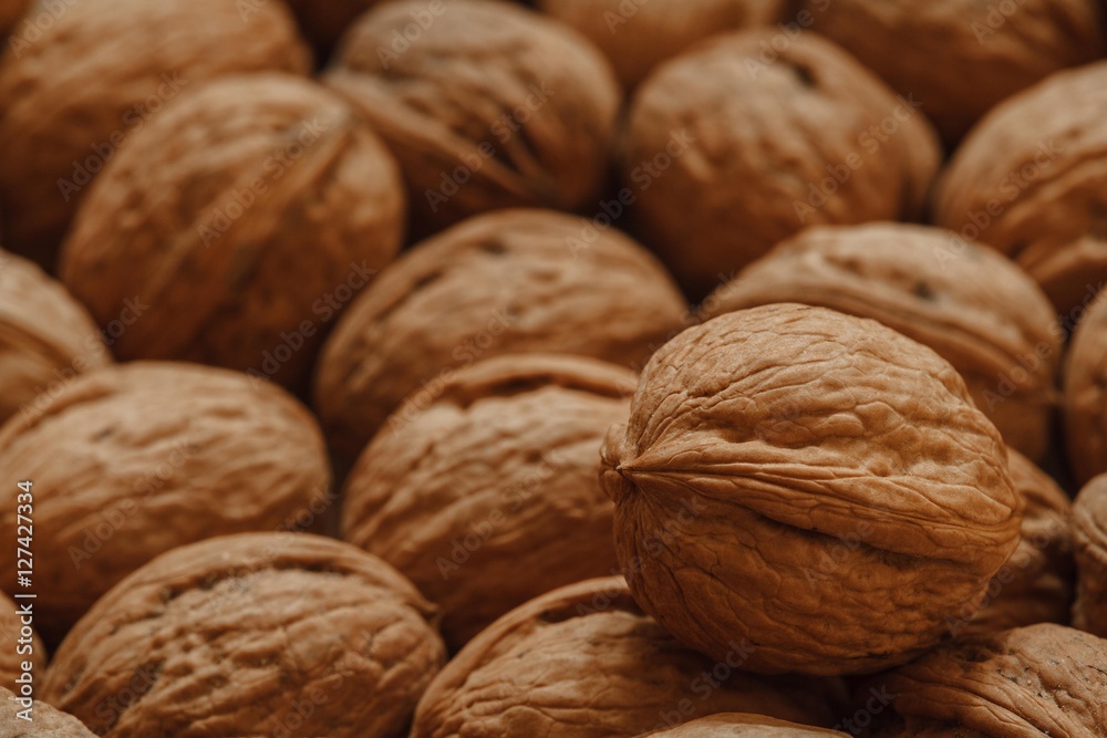 walnuts photo in the nutshell, circassian walnuts walnuts photo in the nutshell, circassian walnuts