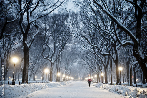 Winter Central Park 