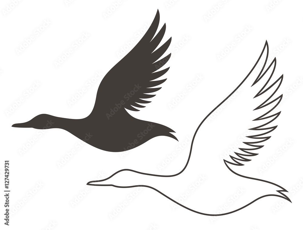 Obraz premium Duck. Outline. Silhouette