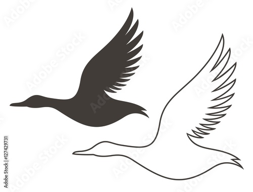 Duck. Outline. Silhouette