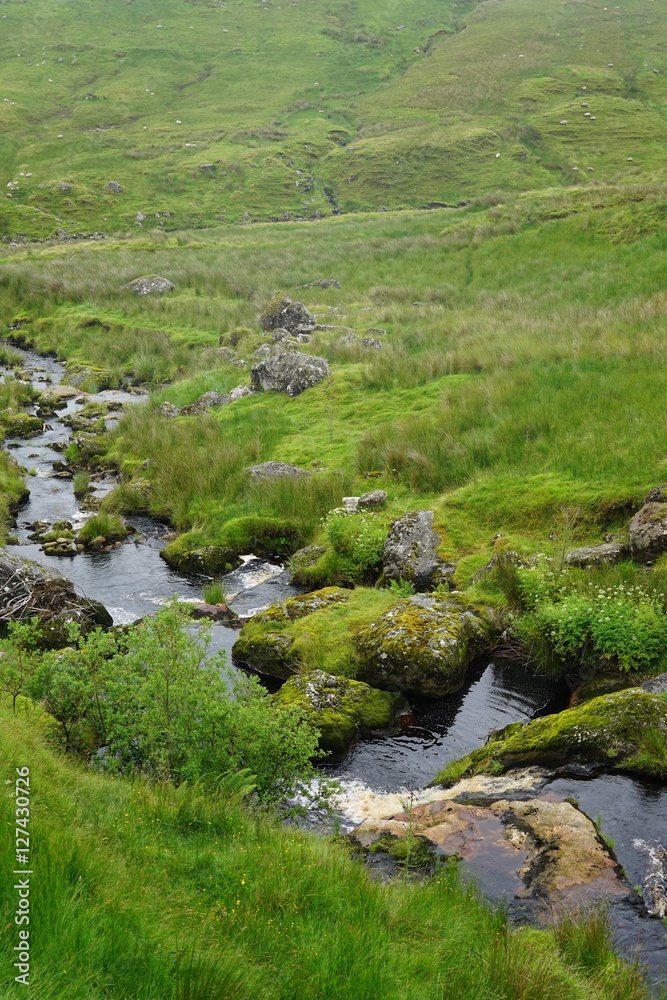 Flusslandschaft mit kleinen Wasserfällen im grünen Antrim / Nordirland