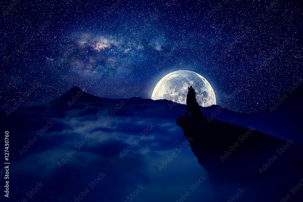 Fototapeta premium Lonely wolf silhouette howls on a cliff over full moon night background. Mysterious scene werewolf halloween scary view.