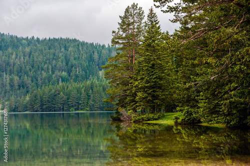 Reflection of pine-fir forest on the mountain lake at the clouds weather