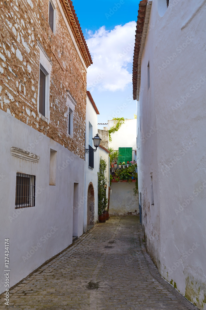Zafra Callejita del Clavel street in Extremadura
