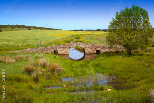 Fotografie Bridge over Salor river in Via de la Plata way