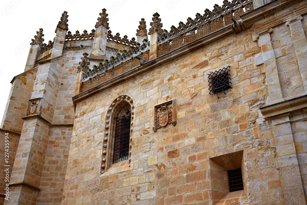 Zamora San Salvador cathedral in Spain Zamora San Salvador cathedral in Spain