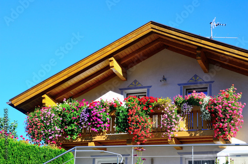 Fototapeta Naklejka Na Ścianę i Meble -  geraniums on the balcony in Gudon South Tyrol, Italy