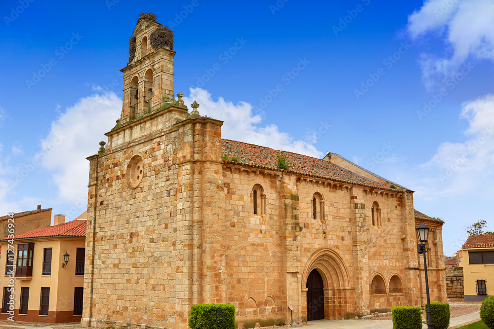 Carmen de San Isidoro church Zamora Spain