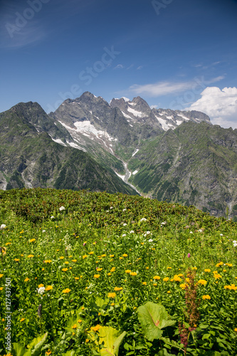Alpine meadow with flowers in Klych highland pass 
