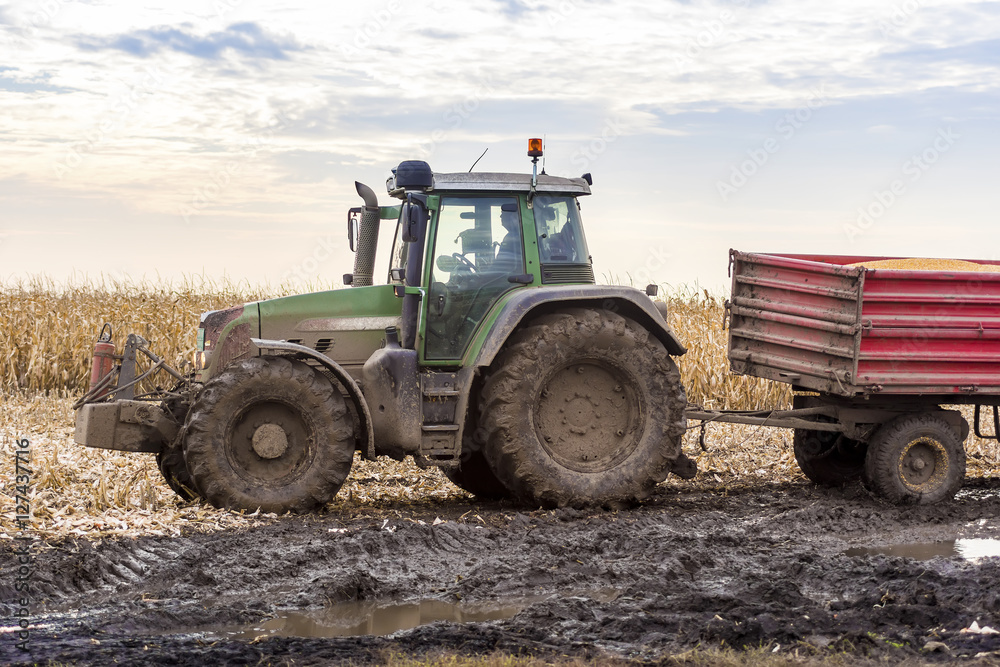 Tractor with Trailers in the Mud on the Harvested Field Tractor with Trailers in the Mud on the Harvested Field