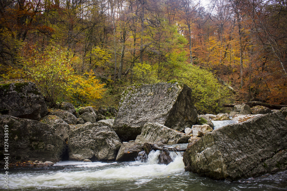 Obraz premium Wild river in autumn forest