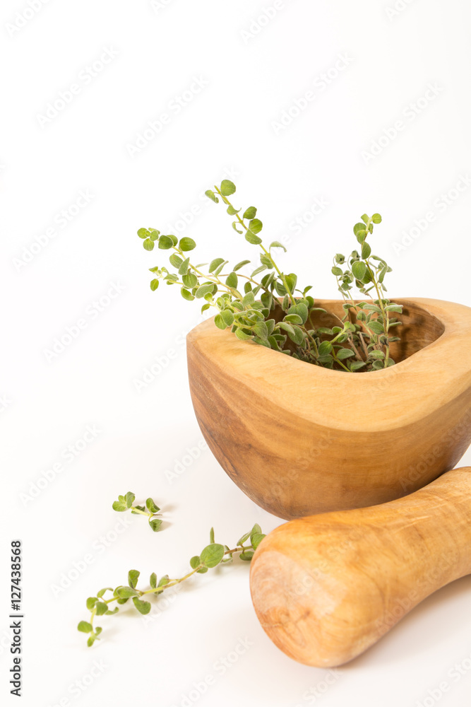 Fresh oregano in  wooden mortar with pestle on withe background.