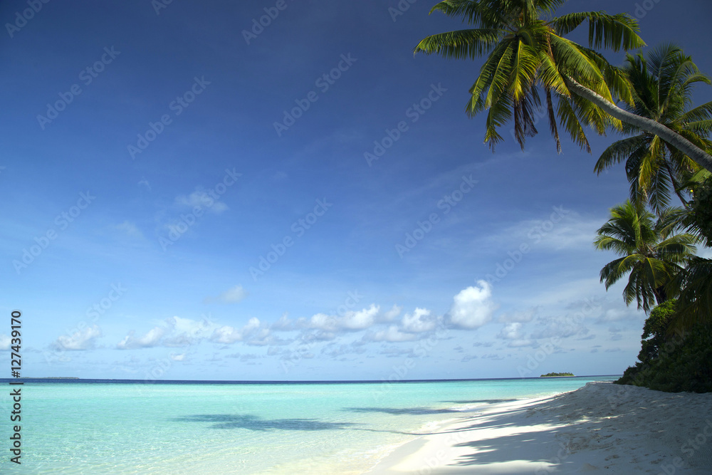 Tropical island and sand beach exotic travel.