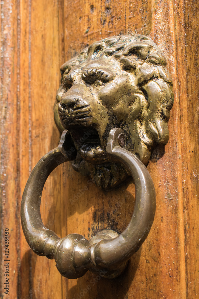 Metal lion on the door