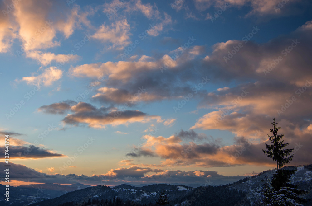 Silhouette of a lonely fir on the background of sunset in the mountains in winter. Clouds illuminated by the sun.