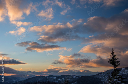 Silhouette of a lonely fir on the background of sunset in the mountains in winter. Clouds illuminated by the sun.