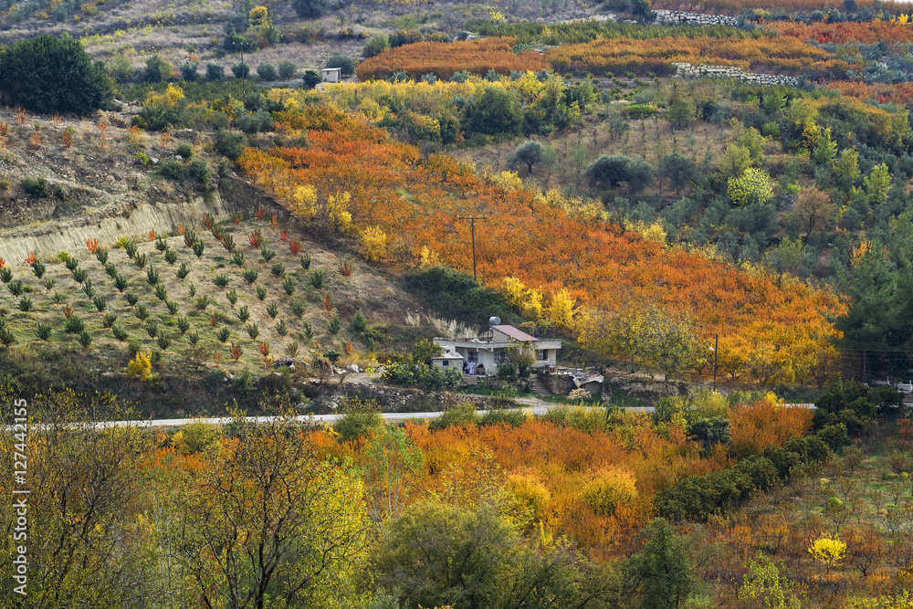 Village and autumn colors