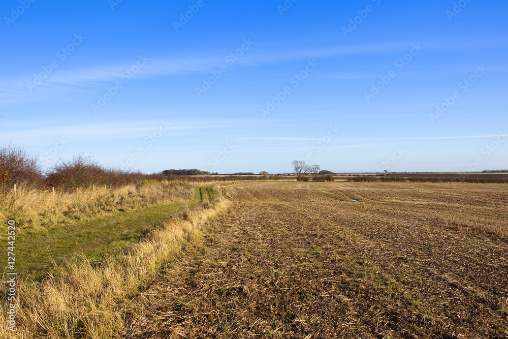 footpath and harvested field