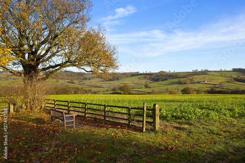 countryside scenery