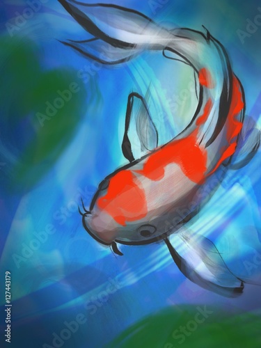 Canvas Print Koi Fish