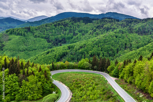 Naklejka Loop road in spring forest