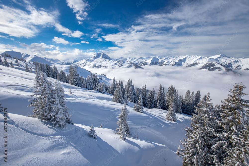Trees covered by fresh snow in Kitzbühel ski resort, Tyrol, Austria