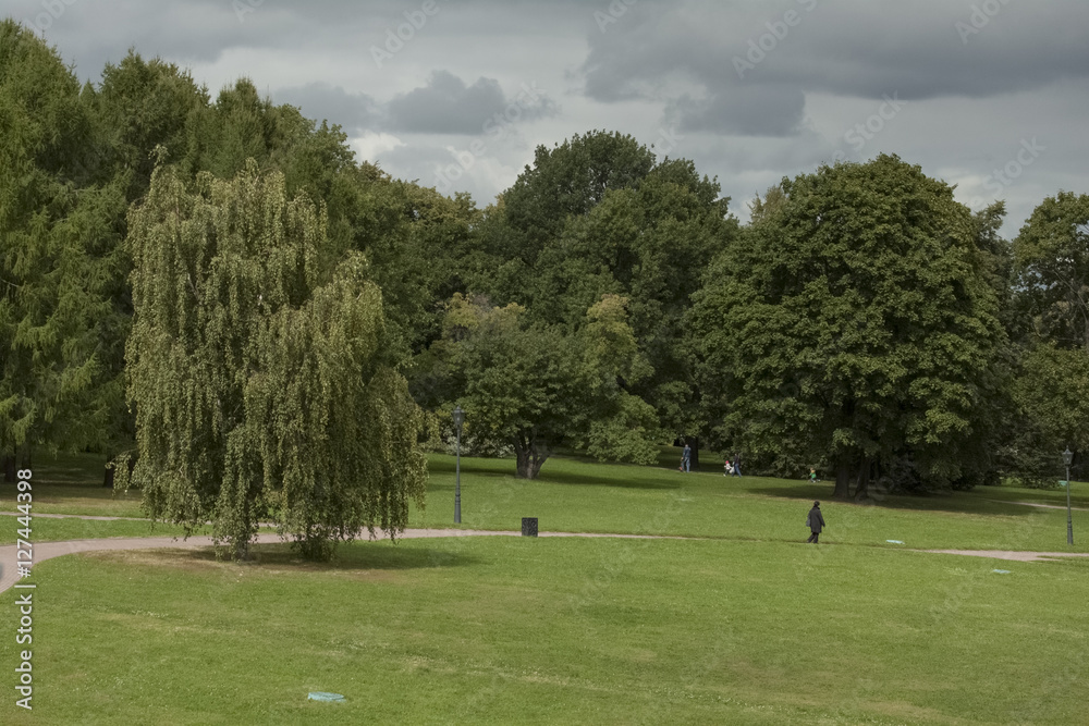 Fototapeta premium Природа