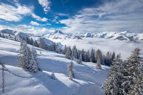 Trees covered by fresh snow in Kitzbühel ski resort, Tyrol, Austria © Eva Bocek