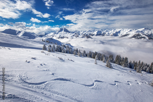 Trees covered by fresh snow in Kitzbühel ski resort in Tyrolian Alps, Austria