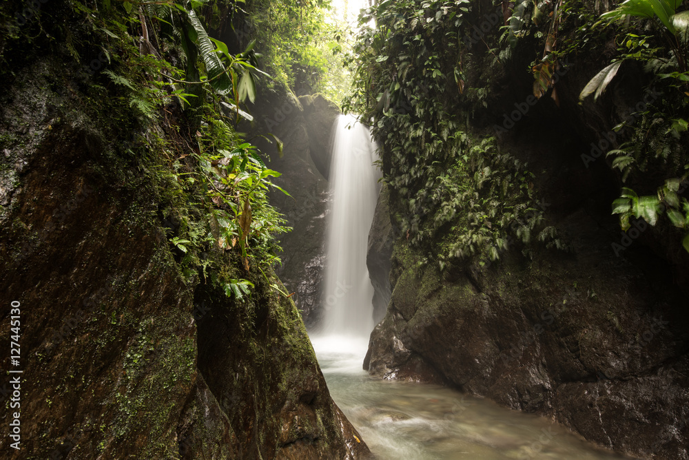 Fototapeta premium Wasserfall mit fließenden Bach in satt grüner Vegetation des Regenwalds. Mindo, Ecuador