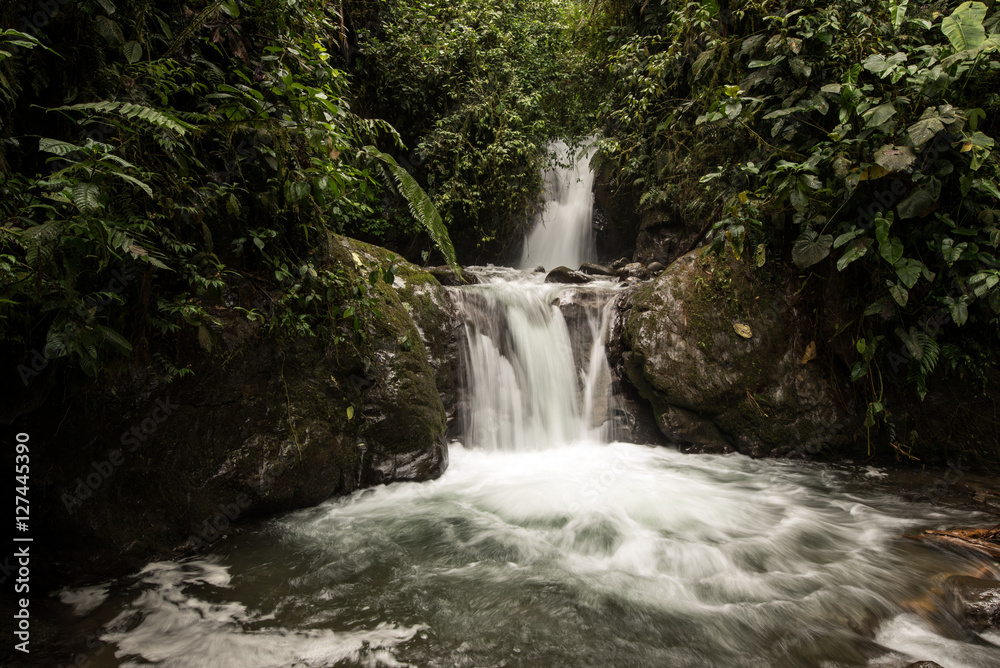 Waterfalls of the tropical rainforest in Mindo, Ecuador Waterfalls of the tropical rainforest in Mindo, Ecuador