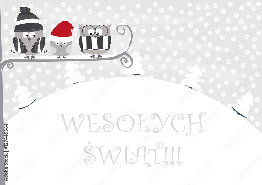 Życzenia Wesołych Świąt / kartka na Boże Narodzenie z sowami i zimowym tłem