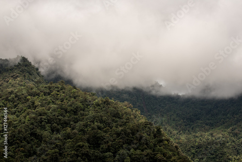 Mindo in the tropical rainforest of Ecuador