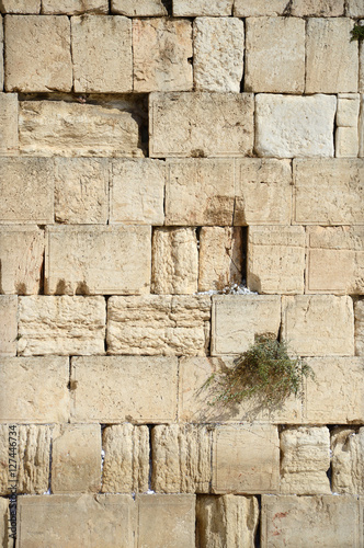 Fototapeta Naklejka Na Ścianę i Meble -  Western Wall in Jerusalem. Israel