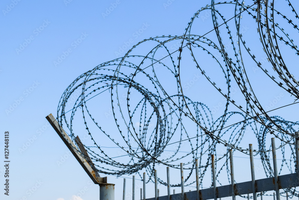 Barbed wire on the fence. Protective fencing specially protected object of barbed wire. Stamped barbed wire
