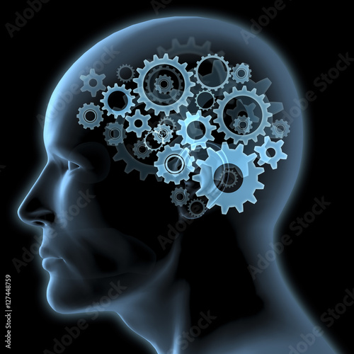 X-Ray Profile Head with Gears