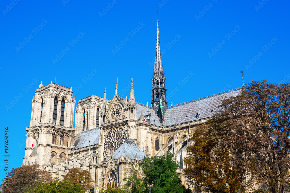 world famous cathedral Notre Dame de Paris in Paris, France world famous cathedral Notre Dame de Paris in Paris, France