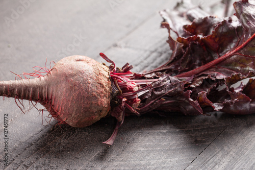 Freshly harvested organic beets single beet photo