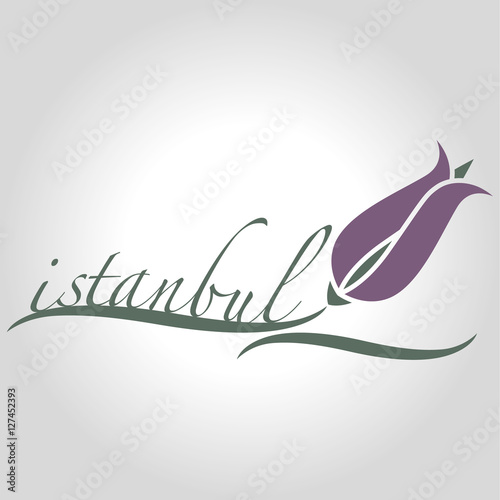 istanbul logo, icon and symbol vector illustration