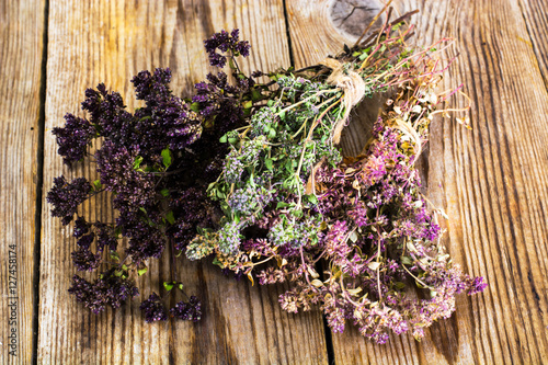 Dried Flowers and Stems of Thyme
