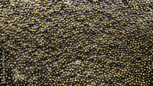 Background of Russian caviar. photo