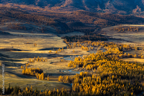 Altay. Mountains. Golden autumn. Blue sky.