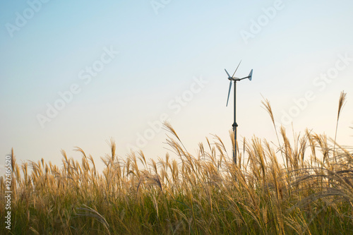 Meadow  windmill in the field