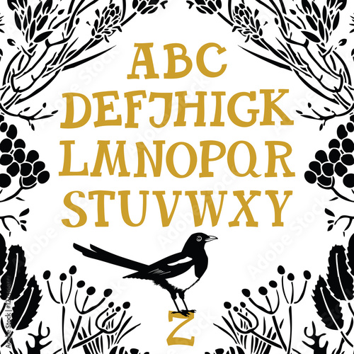 Alphabet Serif font Floral frame and Magpie