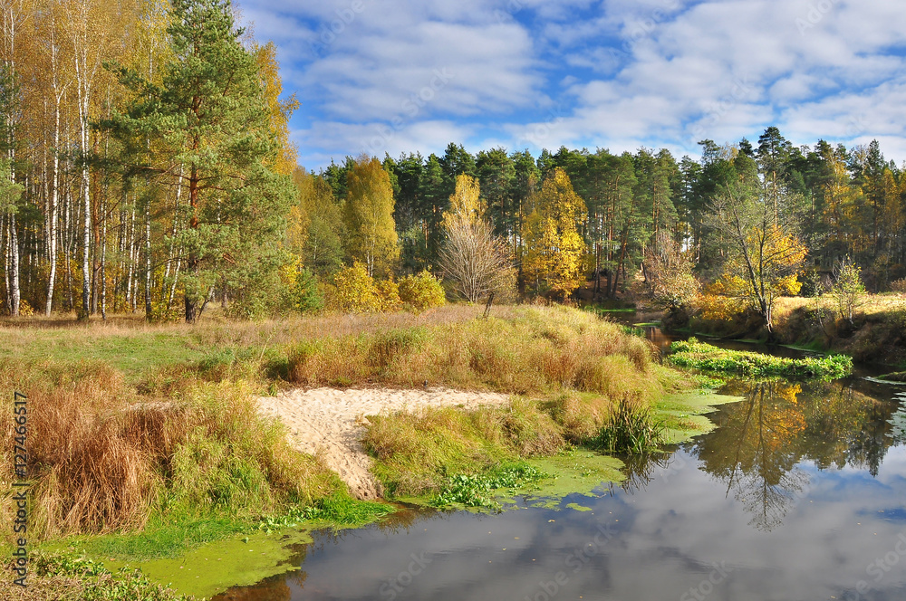 Fototapeta premium Quiet autumn on the river