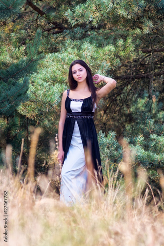 Graceful charming brunette model posing in black dress in coniferous park