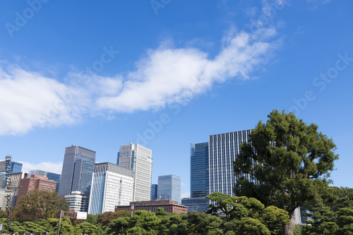 東京都市風景　丸の内　大手町　高層ビル群　緑　青空　コピースペース © oka