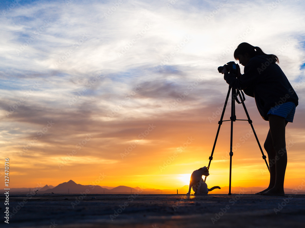 Silhouette of woman shooting with camera at sunset,cat with photographer